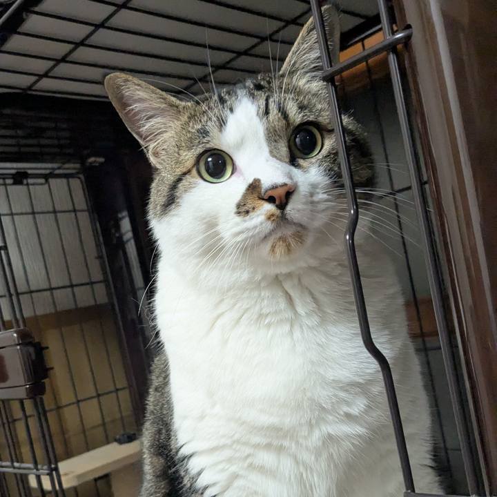 D0b06a4c f6ca 475b 9848 f274cd9be218 1749826529314