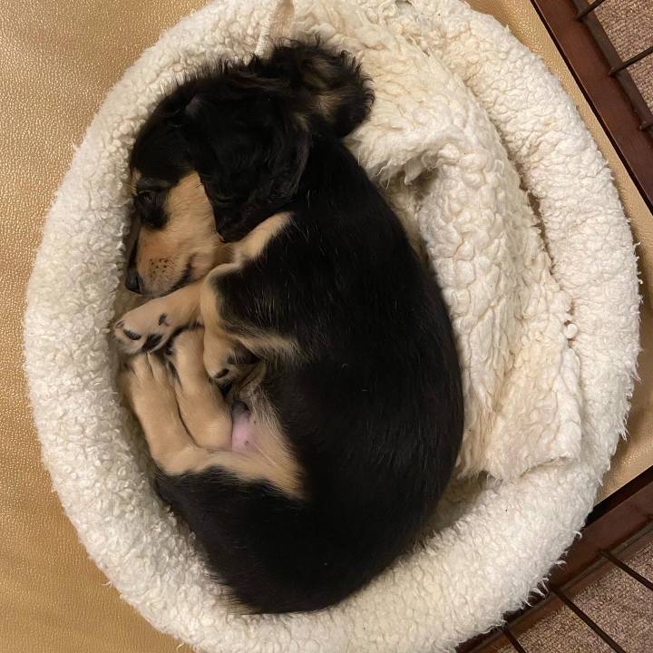 D0b0bf05 8bb2 4599 a7f6 158eecad5fee 1665625445888