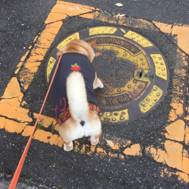 D0b10a0c 173c 456d bf9d ff4736add7ce 1545288844086