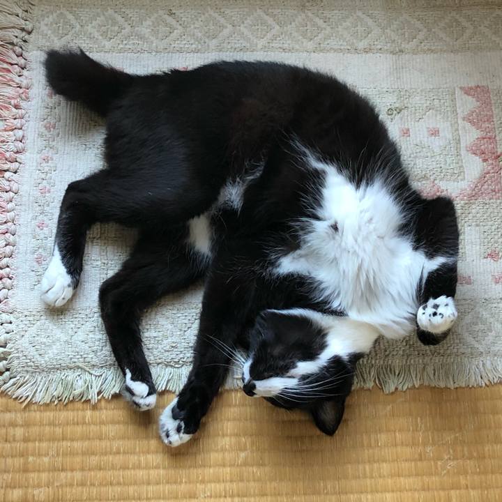 D0b1160a e4e1 45f4 9375 c77387e4836e 1598586215201