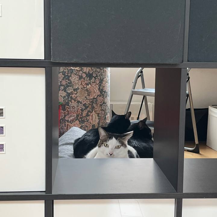 D0b11d1b 9793 4d4d 8010 39b1c9f761dc 1663893169337