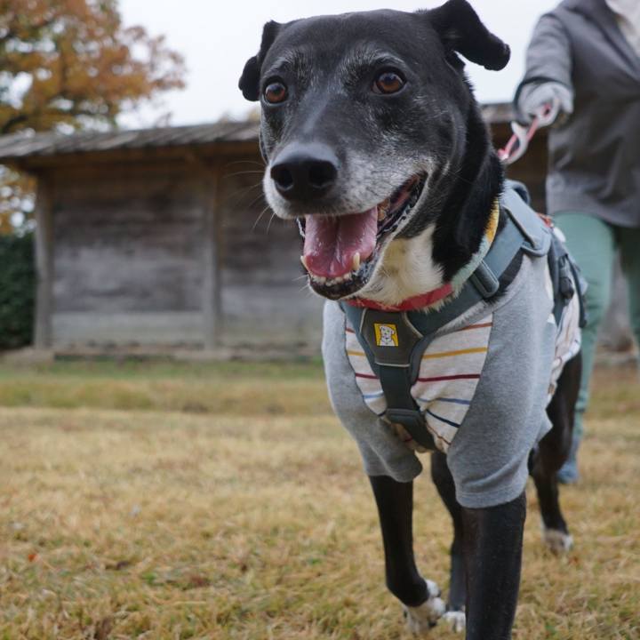 D0b12e5b c3cd 4f46 a723 3e709e3087b2 1764026997501