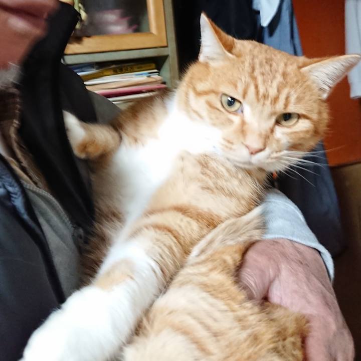 D0b1cb3f 3c98 41f4 83b0 163aae98d2e0 1608373010950