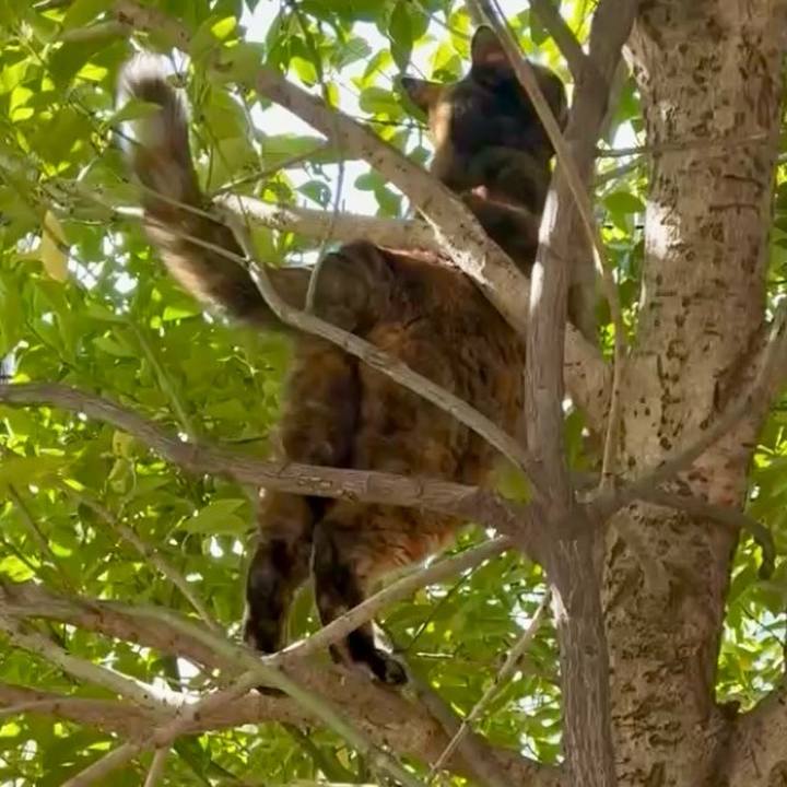 D0b22615 6f01 4bc0 ac47 548845c4a36d 1766372424527