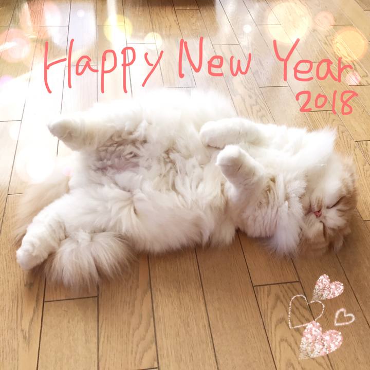 D0b2847d 4787 4a3b 859a 641dd3d9dfe4 1514797981303