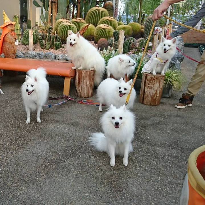 D0b2a0d0 befe 4ab1 a7ef 0884a8be95f9 1539509282487