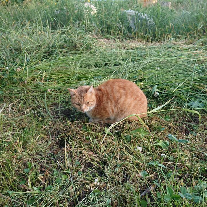 D0b2ad10 c2aa 4b02 ba52 e42152b20900 1591475540249