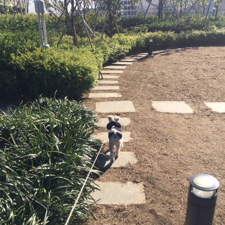 D0b2dc05 e47a 490f ba50 a8fb3260ac6a 1544853578181