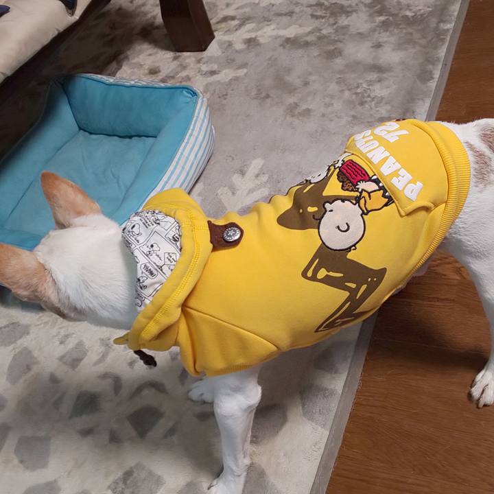 D0b31971 efb0 434a b983 a8ae9d187a1f 1539610725623