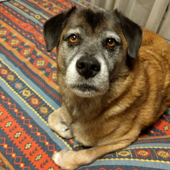 D0b34aed 5d77 43e7 a4ec 20583d0909fb 1689381409284