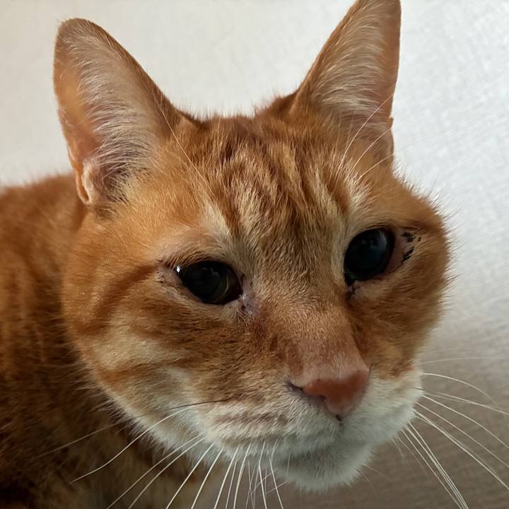 D0b373e9 8c8e 4afe 97d6 febeb7e41d8d 1745011795348