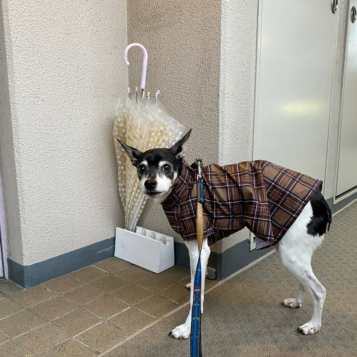 D0b3d967 e87b 49e2 a623 7f8f7018624e 1615154834039