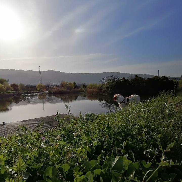 D0b3f33c f436 4d0a 93b8 618e0bda9973 1617238342890