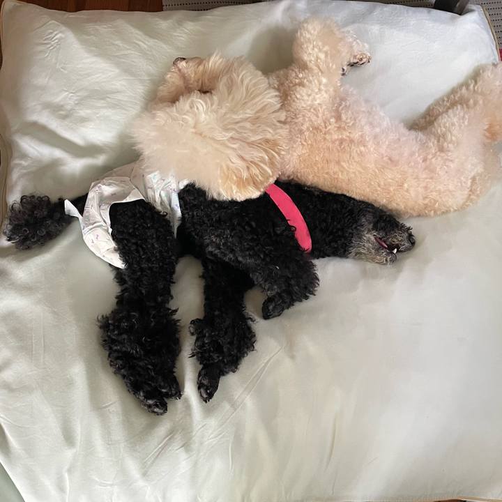 D0b44426 1e87 49e9 a597 2e744555852a 1757917591177