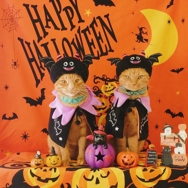 D0b461d4 79a7 443c b451 afddf77c0e16 1761639189177