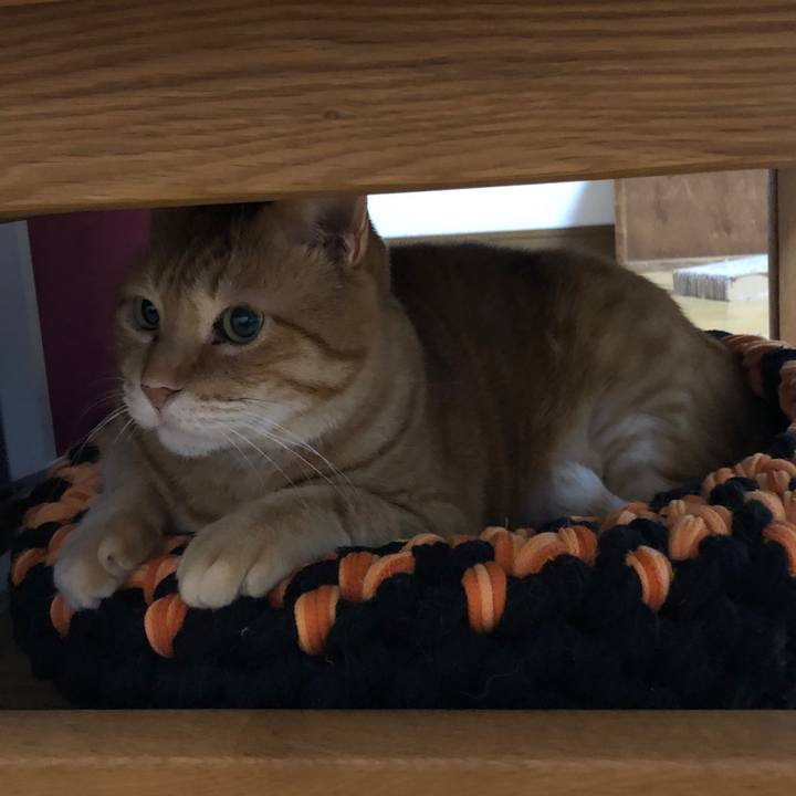 D0b47f60 6313 4b9b 852e 731ee318bc7d 1654772343322