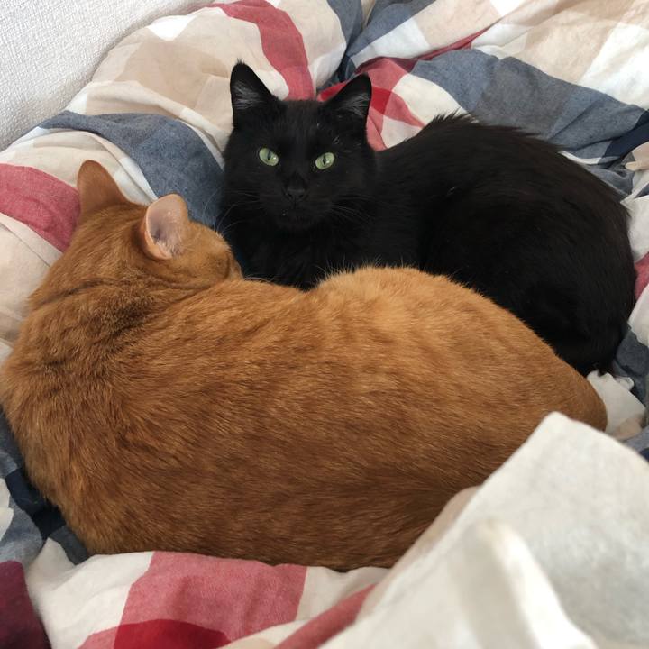 D0b48f72 e500 43dd a89f c7aae64d9251 1583143446586