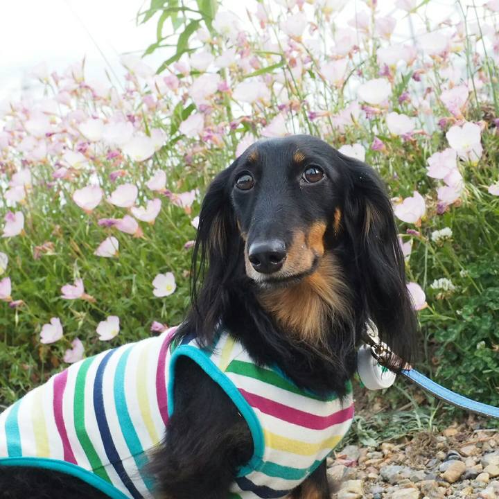 D0b49712 7864 4462 94c2 2789644c82df 1526870606464