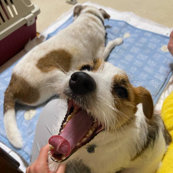 D0b4a858 34d7 43b6 b86d 2851704d1e65 1719923302323