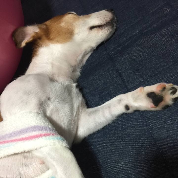 D0b4aa78 28d7 44e0 8f41 f59851d96743 1534251609698