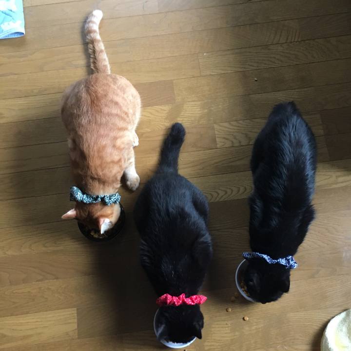 D0b4ca43 de44 4b08 b218 0b808900ef4b 1537660345118