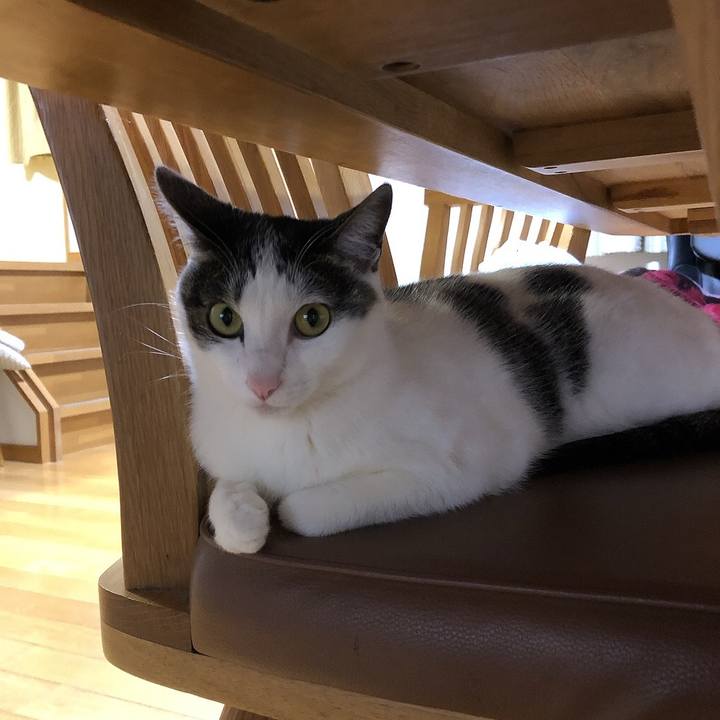 D0b4d6d5 a4a3 42bd 90d5 954eb8deedbf 1684151678085