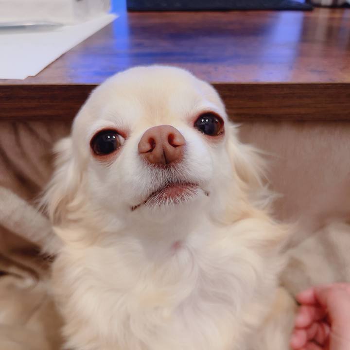 D0b4dede 8c2d 464b 9596 0034d25d3b47 1772100588433