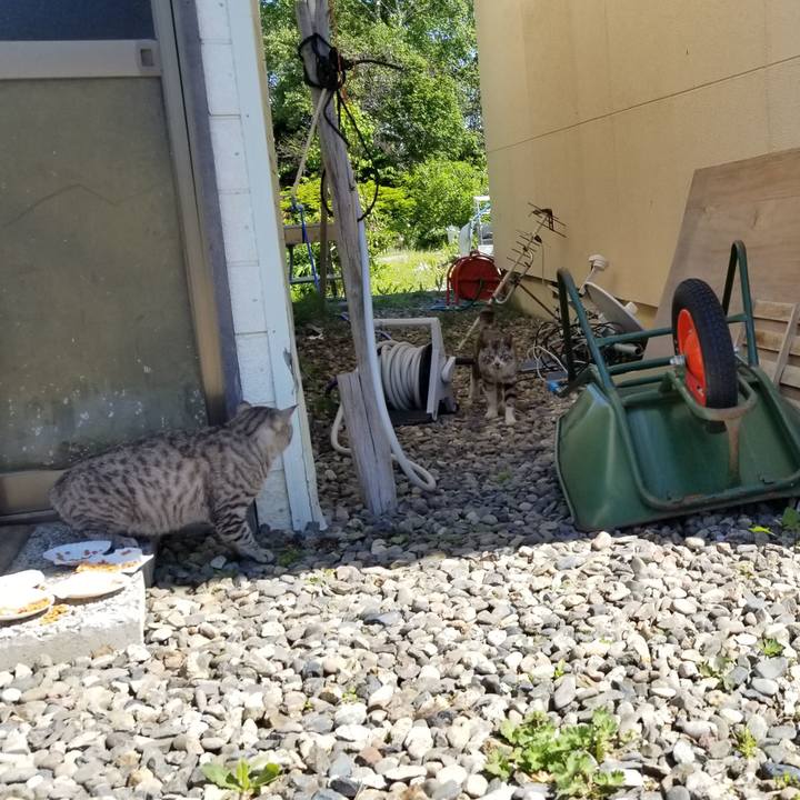 D0b4e6e5 a3ea 4fdc 9a86 41f0bdfc25f0 1623337489588