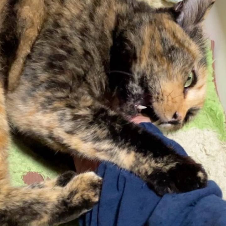 D0b4ef65 7b28 42b3 bf94 02539d0728ed 1731317978182