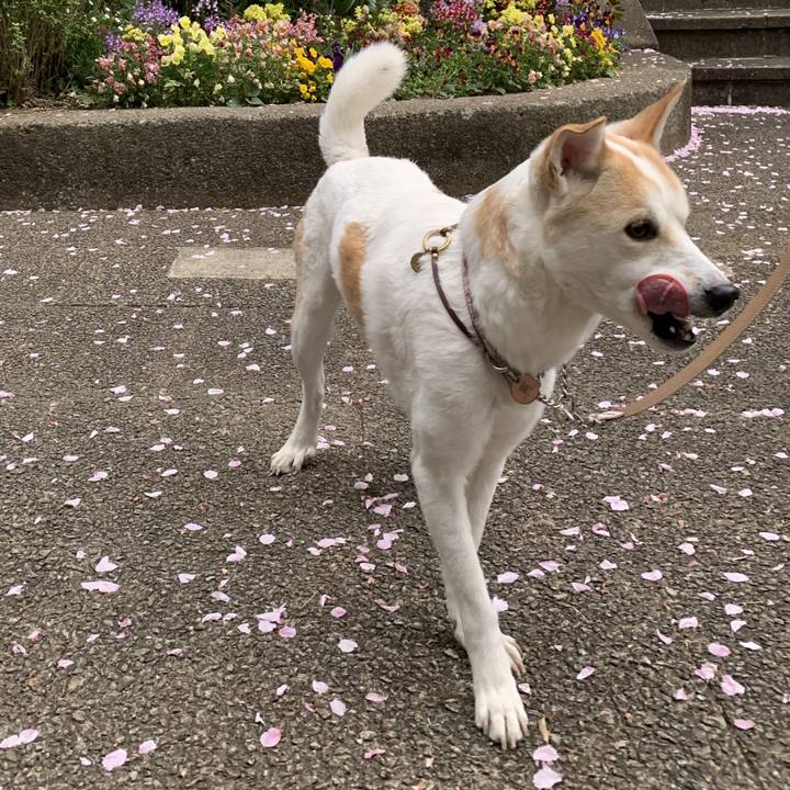 D0b4fa79 64e2 4e61 bd5d 2d82aa98da9e 1618201898653