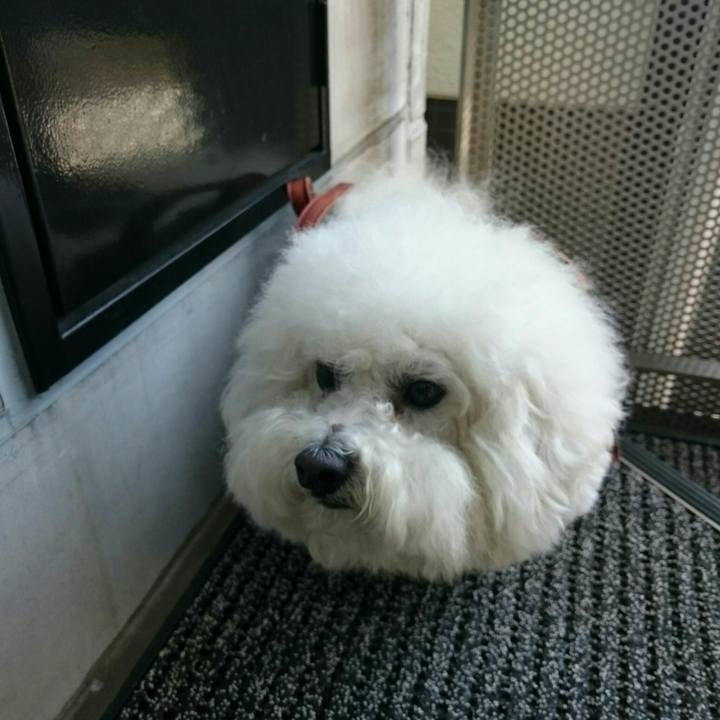 D0b51b82 4ecf 49a3 bad6 4e7ef052a4d6 1524980188299