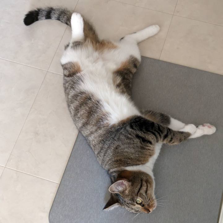 D0b53cd1 33b2 402f a561 96c525c68ba5 1690506270788