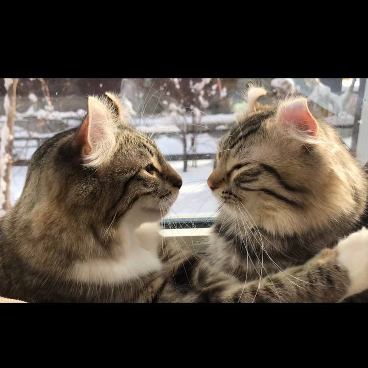 D0b55b2e df50 4b37 9687 d67b9327ddc5 1542011551812