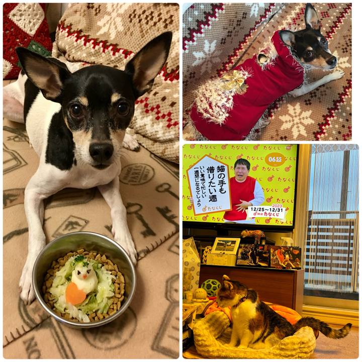 D0b5bc4d f5ec 4ba8 8e66 0317581fa607 1703456535531