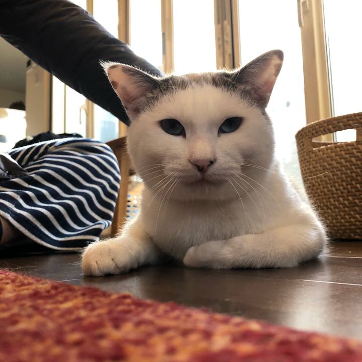 D0b5c466 ccb2 46e2 a3d9 fbf3147cec71 1578058559703