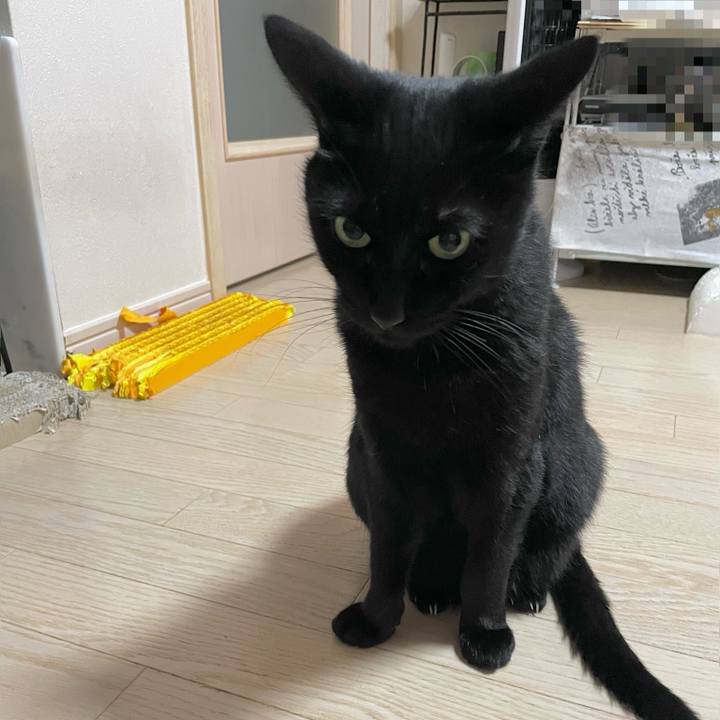 D0b636b0 3bf4 4853 a238 6601ea1b64bf 1735429455014