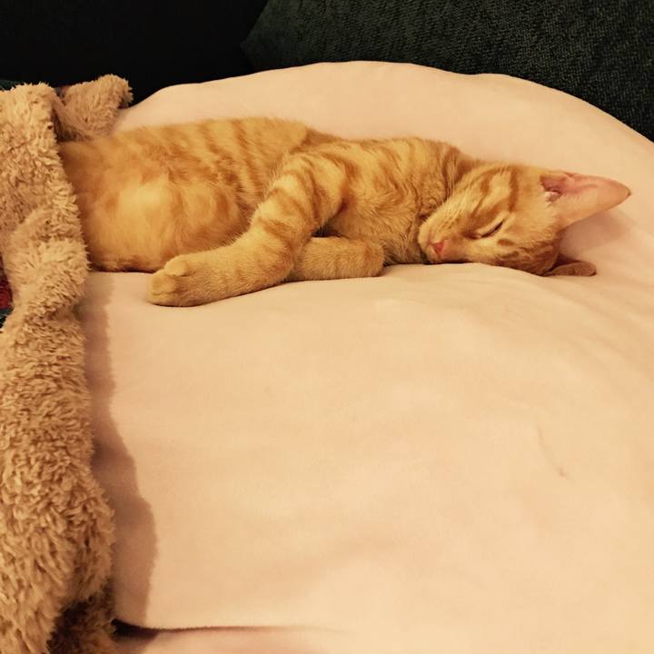 D0b67fb4 538f 495c 845a 818dd3c42465 1589096575416