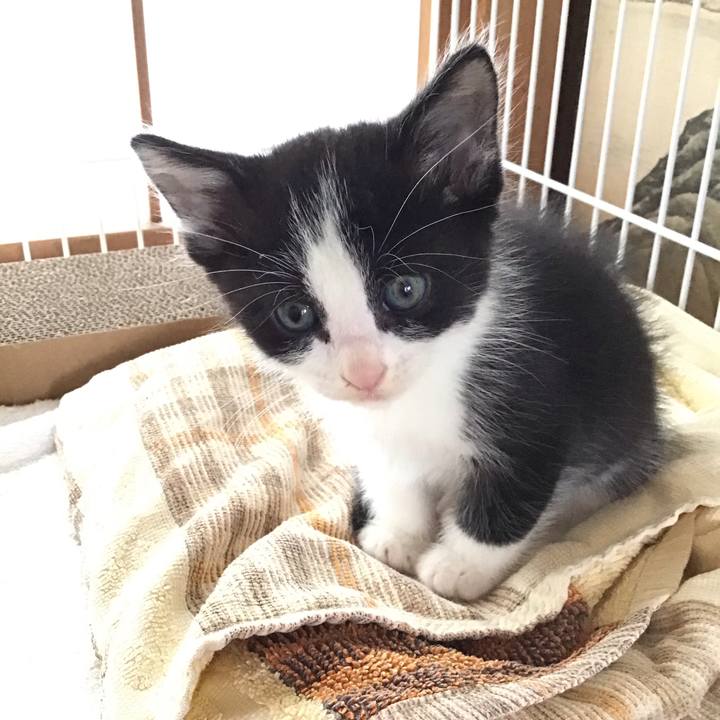 D0b6a705 c94f 489e bc29 9df6380ac671 1622438596547