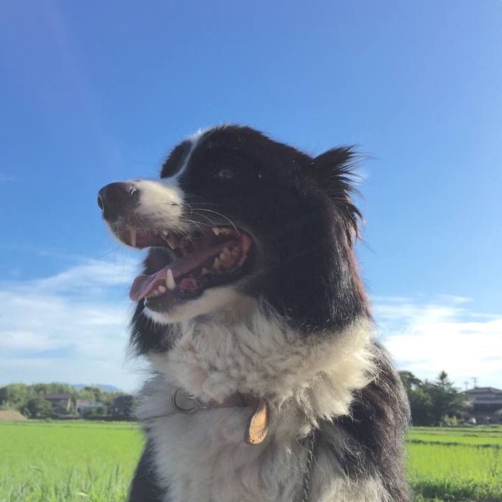 D0b6c8ba 67b1 4d35 a566 7985f3e69e43 1531263396438