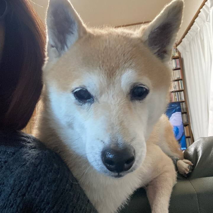 D0b6dcff 667c 4e99 bc71 80d9046aa3b0 1638791396453