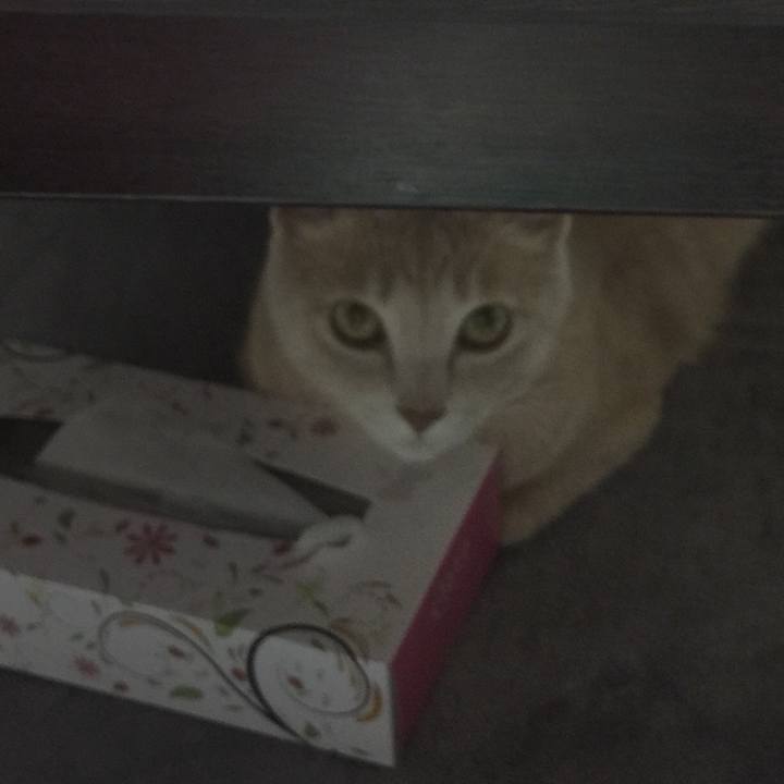 D0b7271f 64e0 4bb0 95ff fe0c9220d851 1529496039168