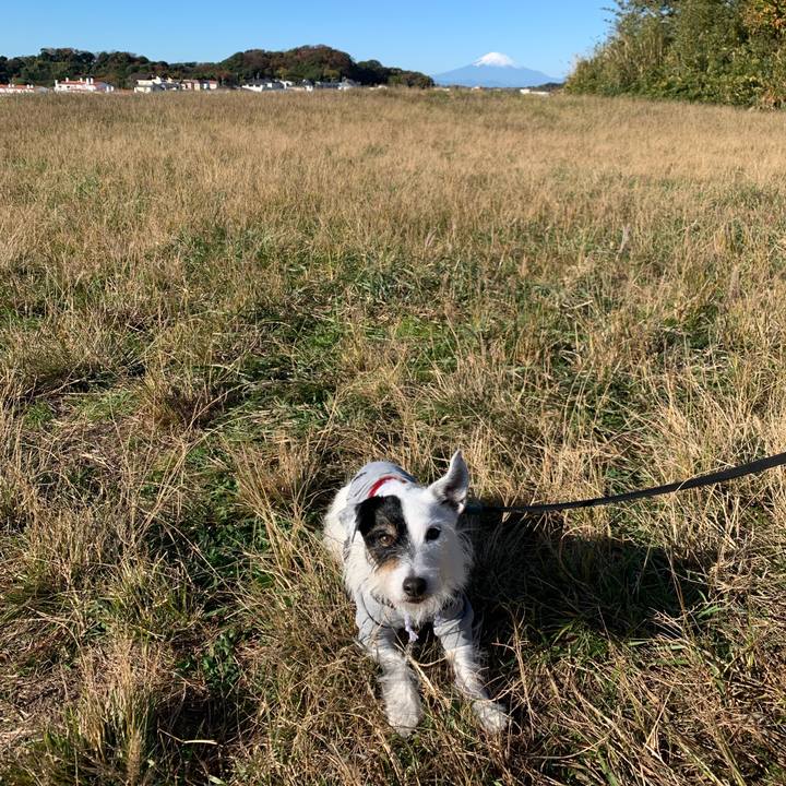 D0b72bbf 3ec0 4e95 abac 6054b3f6af79 1733014913127