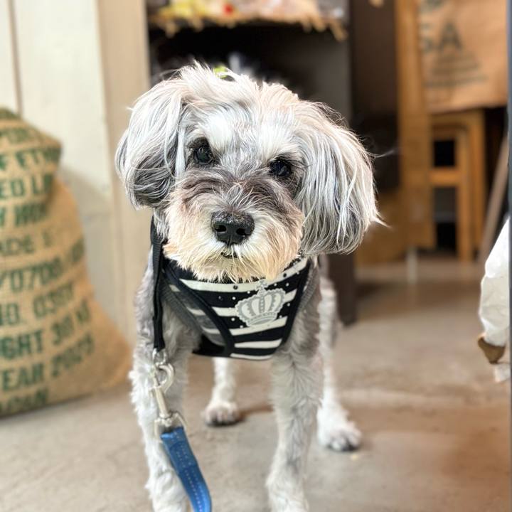 D0b734bd 161a 4903 a70a 9c733ed660b0 1761832126191