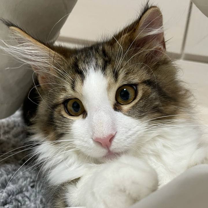 D0b735c8 2425 4b9d 90c7 35d0cbe292ca 1634203449505