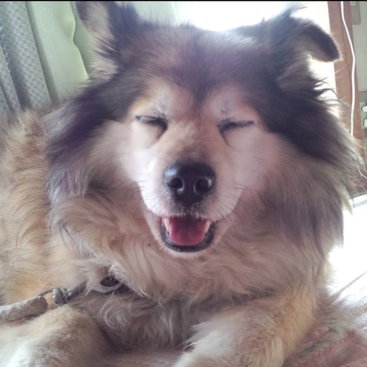 D0b7bf69 7fe9 4083 a954 64abf14c88ae 1637675986642