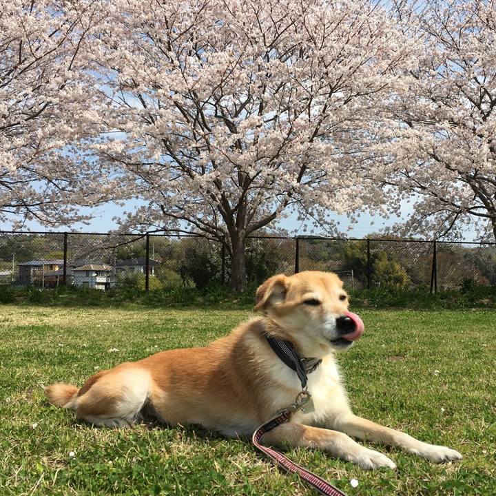 D0b7d2f1 0f5d 4470 8389 e794b0d321bb 1522383419858