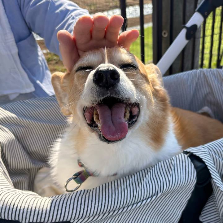 D0b7ebd0 73bb 499e 981b c34ba7446ccb 1773024022192