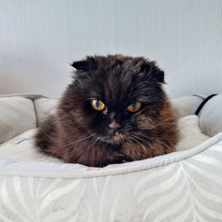 D0b7f774 9a3f 4540 9909 05864635b98b 1767410052997