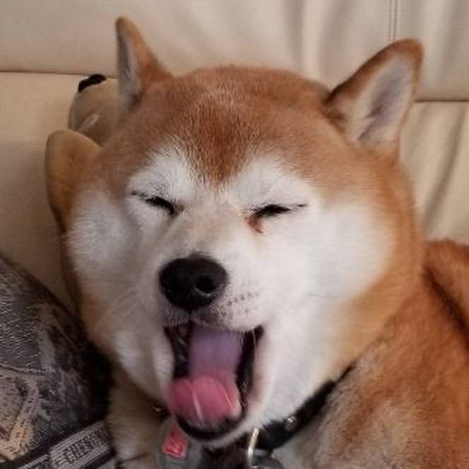 D0b7fe1e 50e4 4a59 8fb7 bbc0b291ef1f 1603443192924