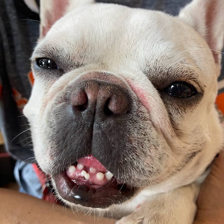 D0b814b3 79bc 4efc 83a0 64bff5b068d0 1729674245372